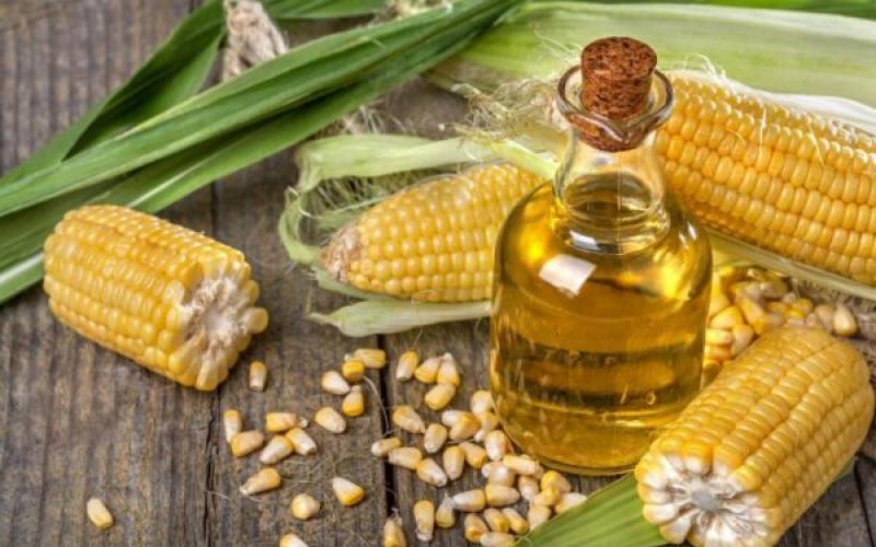 Corn oil: benefits and harms, application, reviews Corn oil benefits or harms