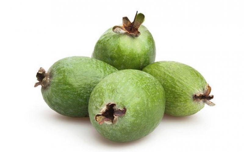 Is it possible for nursing mothers to eat yellow and green fruits during lactation? Feijoa