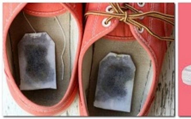How to quickly remove the smell of sweat, mold and cat urine from shoes: a selection of recipes and prevention